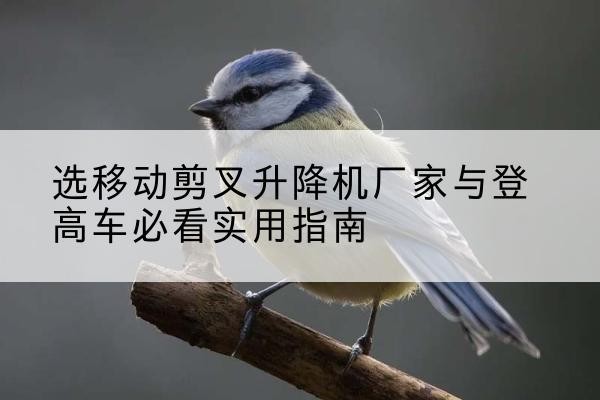 枣强电动升降机厂家-选移动剪叉升降机厂家与登高车必看实用指南