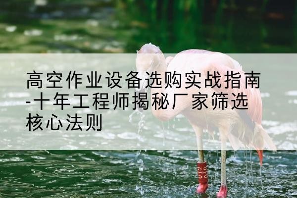 枣强剪叉式升降机厂家-高空作业设备选购实战指南-十年工程师揭秘厂家筛选核心法则