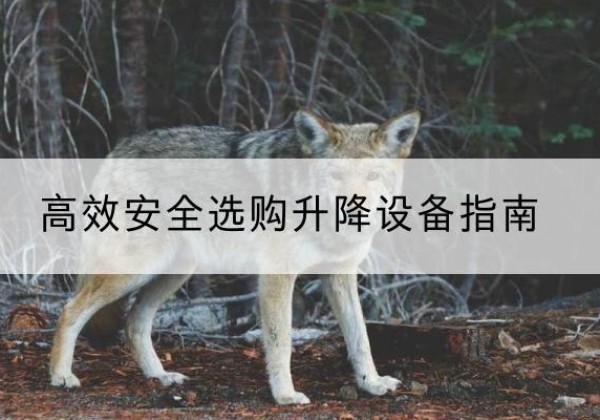 枣强升降货梯厂家推荐-*安全选购升降设备指南