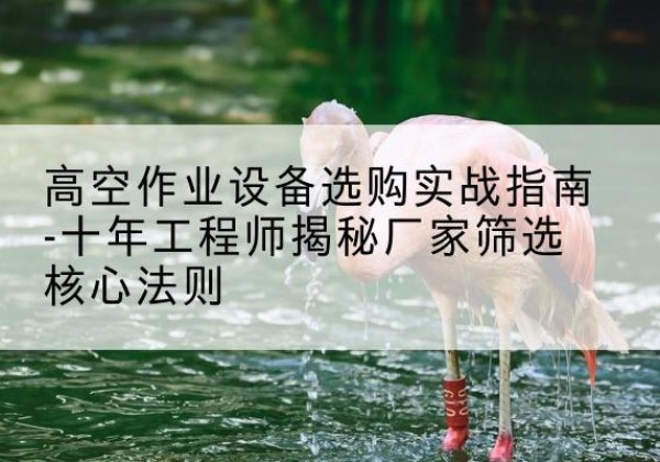 枣强剪叉式升降机厂家-高空作业设备选购实战指南-十年工程师揭秘厂家筛选核心法则