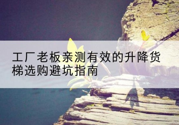 枣强升降货梯怎么选-工厂老板亲测有效的升降货梯选购避坑指南